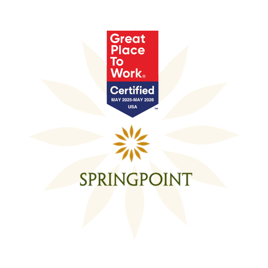 Springpoint great place to work